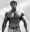 Arnold Schwarzenegger - IQ 135